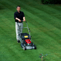 Lawn Mowing Hendon