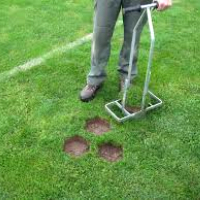 Lawn Repair Hendon